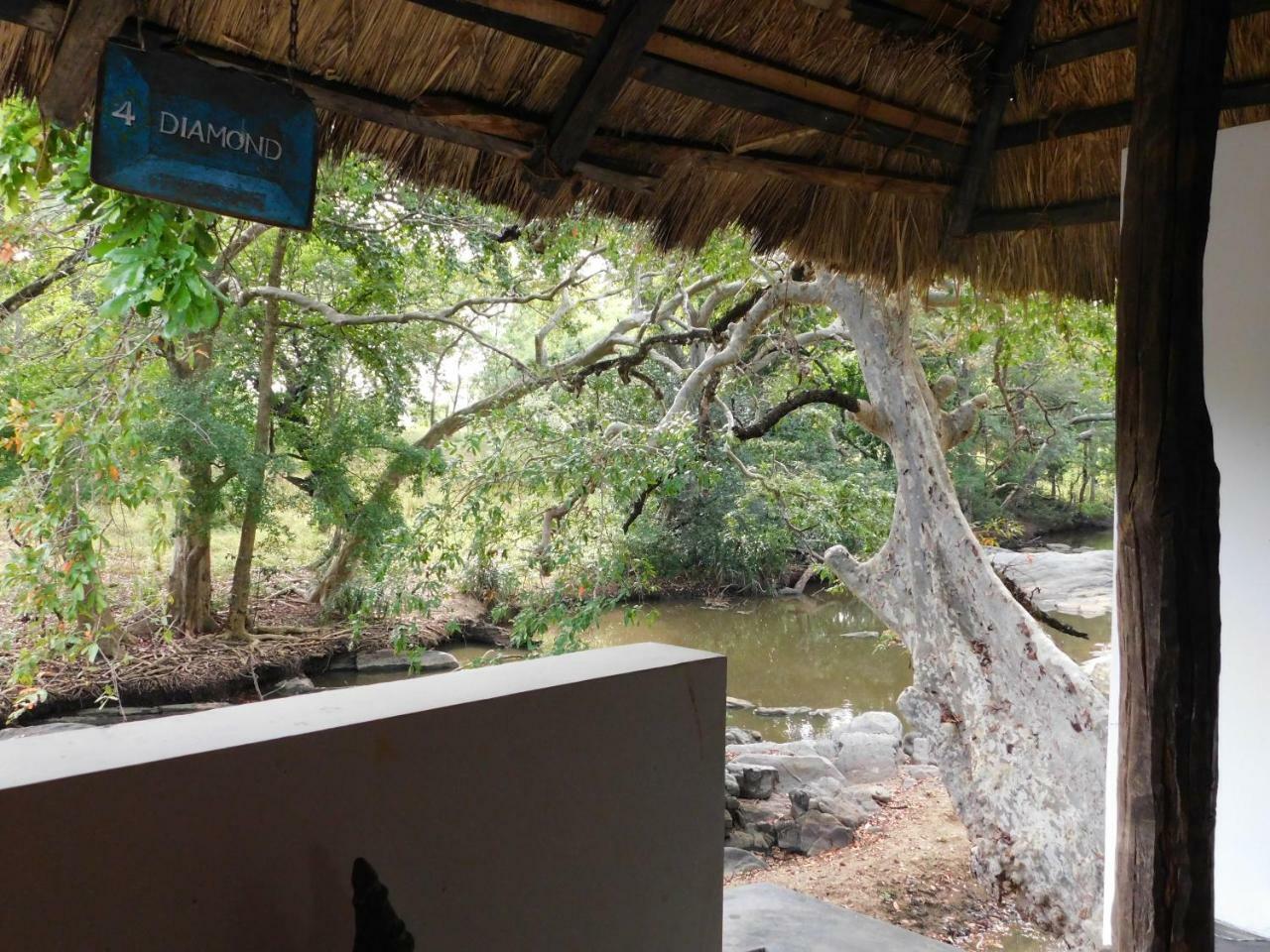 Galapita Eco Lodge Buttala Room photo